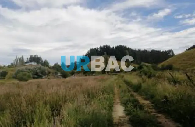 Agrícola en Osorno · Chanco — foto 4