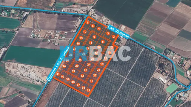 Agrícola en Padre Hurtado, La Esperanza