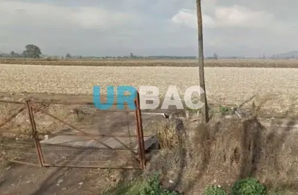 Agrícola en Padre Hurtado · La Esperanza — foto 4
