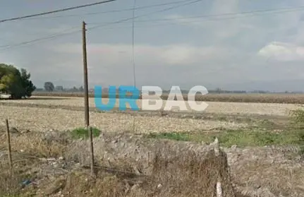 Agrícola en Padre Hurtado · La Esperanza — foto 5
