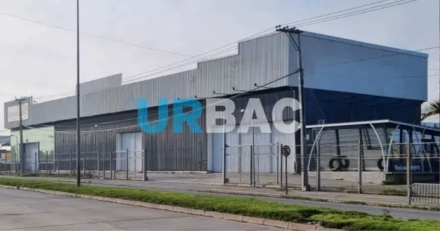 Bodega Industrial en Chillán Viejo · Chillán Viejo — foto 4