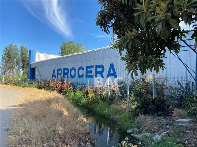 Bodega Industrial en Linares · Camino a plamilla — foto 2