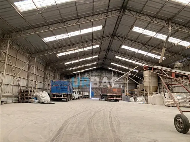 Bodega Industrial en Linares · Camino a plamilla — foto 3