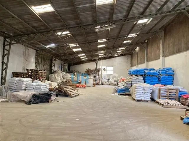 Bodega Industrial en Linares · Camino a plamilla — foto 5